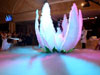 Magic-flower  -